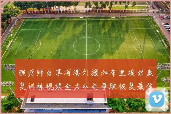 理疗师分享海港外援加布里埃尔康复训练视频全力以赴争取恢复最佳状态